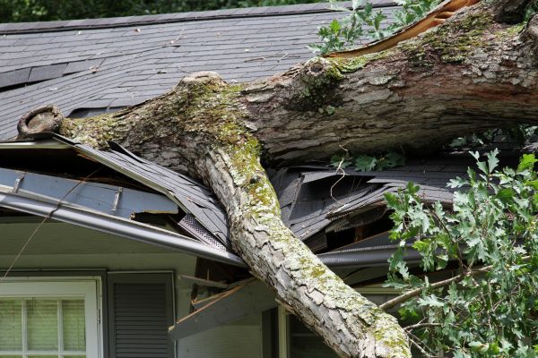 Cost of Storm Remediation in Rogers