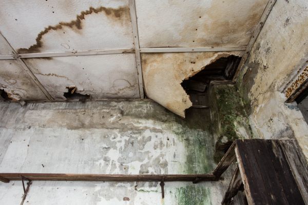 Cost of Water Damage Service in Rogers