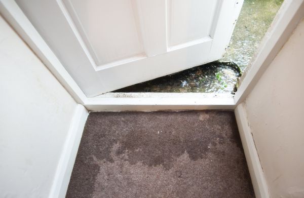 Cost of Wet Carpet Restoration in Rogers