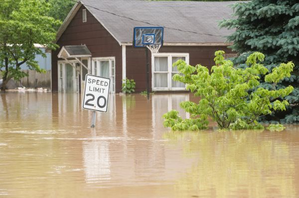 Cost of Storm Restoration Service in Rogers