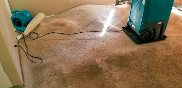 Cost of Flood Damage Cleanup in Rogers