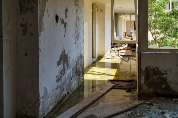 Cost of Water Removal Service in Rogers