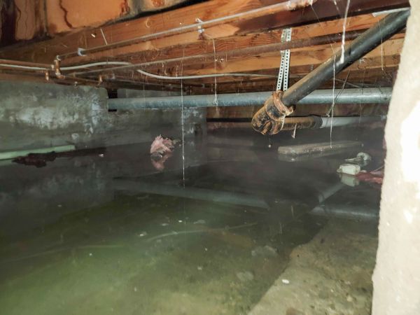Cost of Crawl Space Drying in Rogers