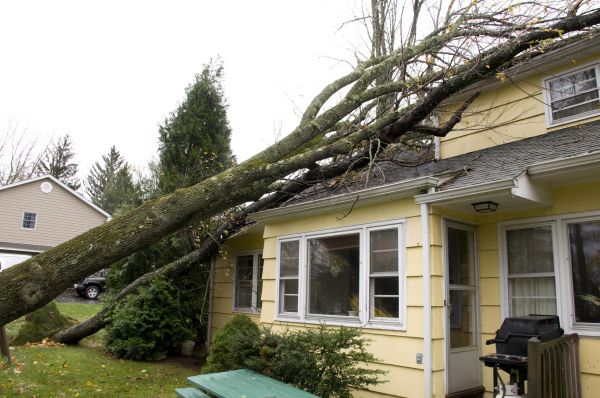 Hurricane Damage Repair in Rogers